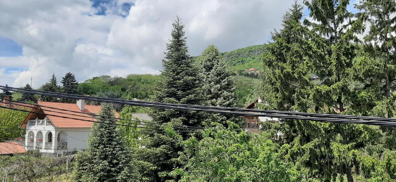 Hotel Nagy Vendeghaz Badacsonytomaj Zewnętrze zdjęcie