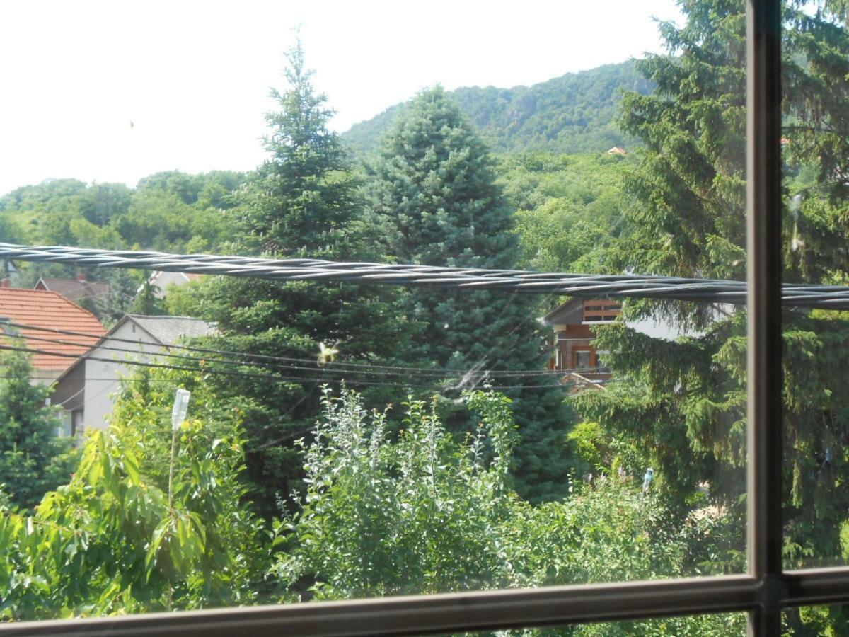 Hotel Nagy Vendeghaz Badacsonytomaj Zewnętrze zdjęcie